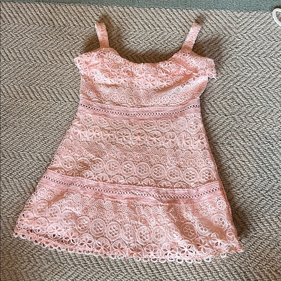 Lovers + Friends Revolve Blush Pink Lace Happy Hour Mini dress, size X-Large - Picture 5 of 9